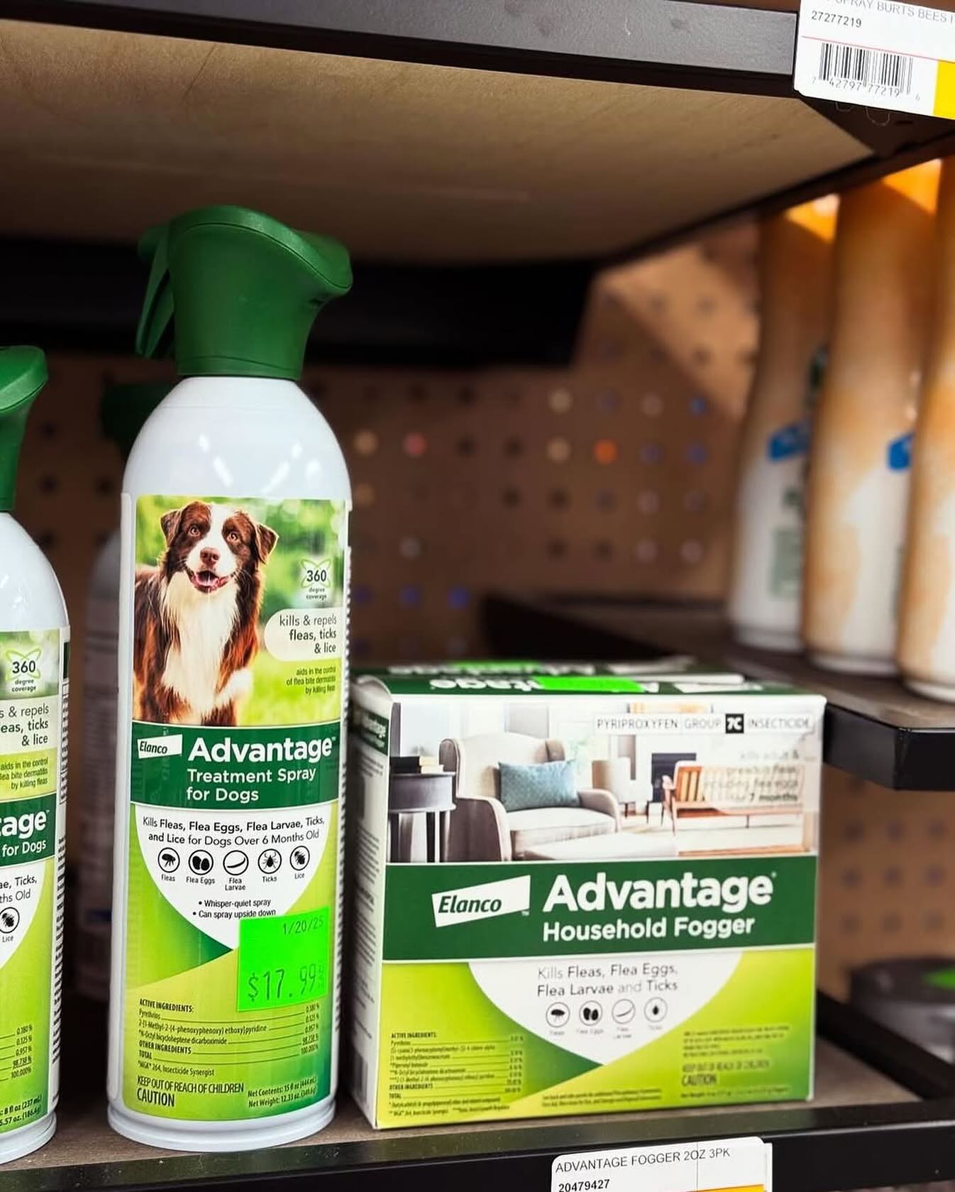 Elanco Advantage Household Fogger - Kills Fleas & Ticks in the Home - 3-Pack