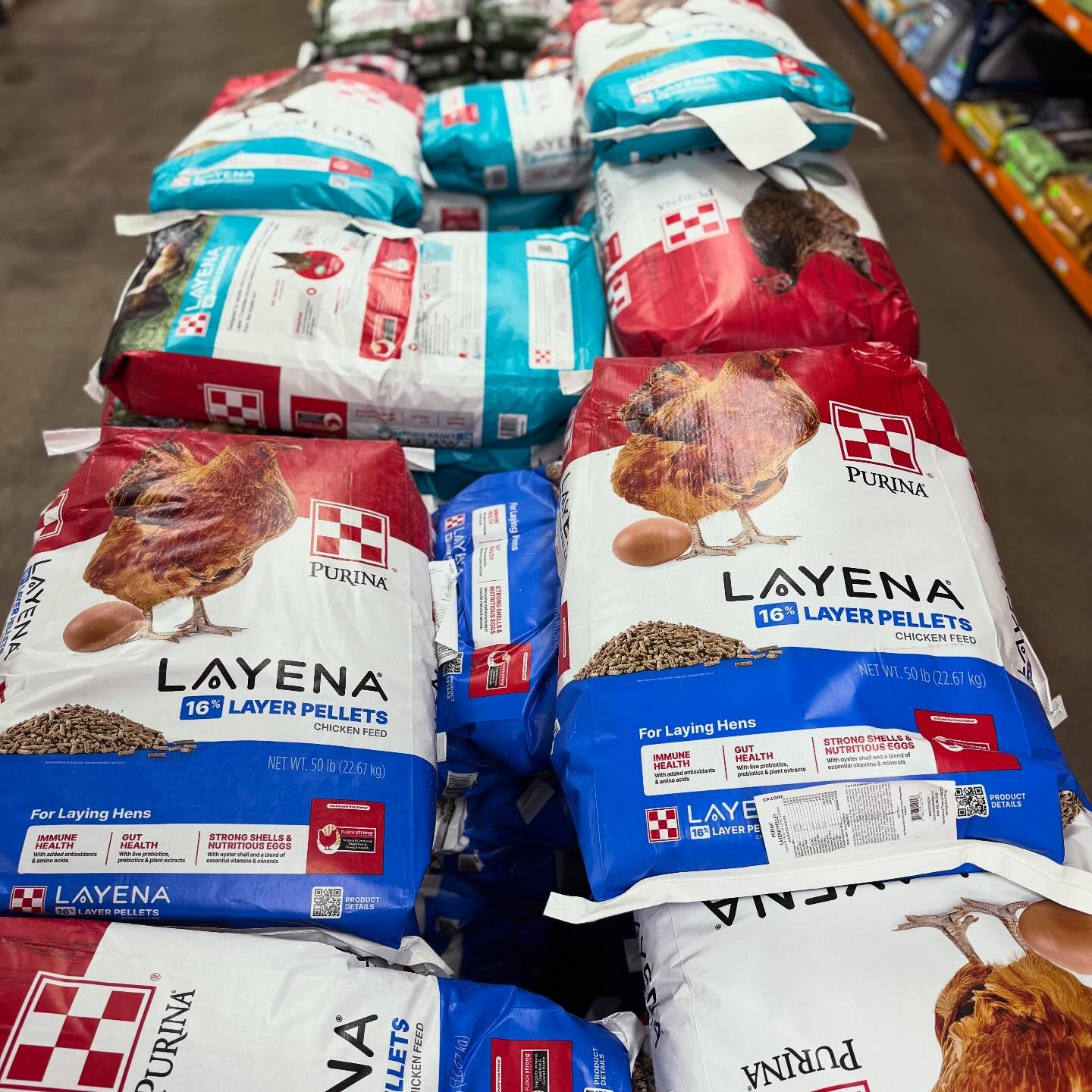 Purina Layena 16% Protein Layer Pellets Complete Feed for Laying Hens - 50 lb Bag